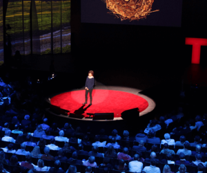 Imagem da notícia : Seleção de palestras TED sobre o tema Criatividade